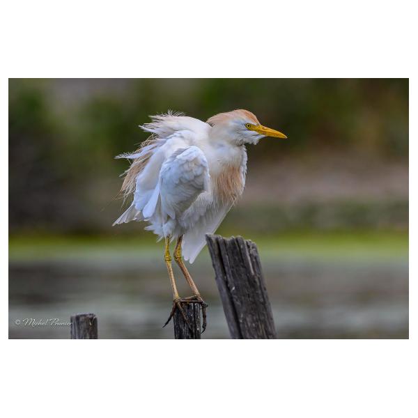 PHOTO84, CLUB, 84 , LUBERON